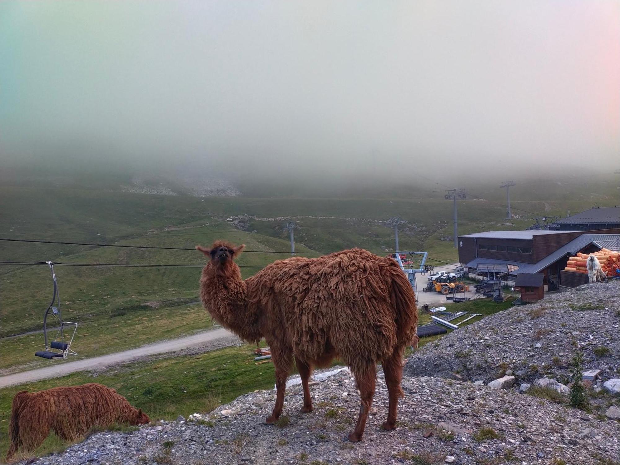 Le Petit Studio Du Tourmalet Pied Des Pistes - ラ・モンジー エクステリア 写真